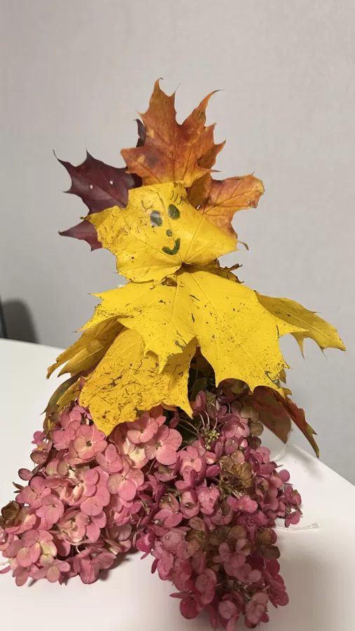 Karlīna Annija Laterere